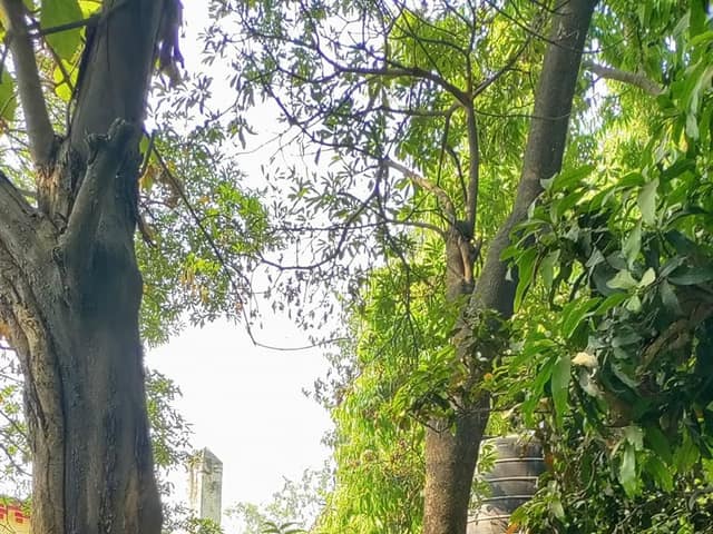 डी.एम.जी. इंटर कॉलेज — चित्र 397