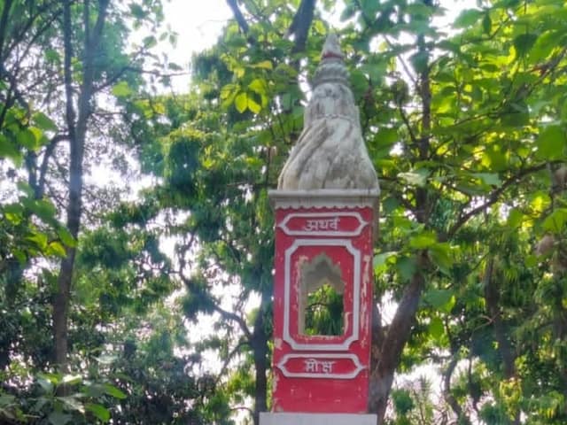 डी.एम.जी. इंटर कॉलेज — चित्र 475